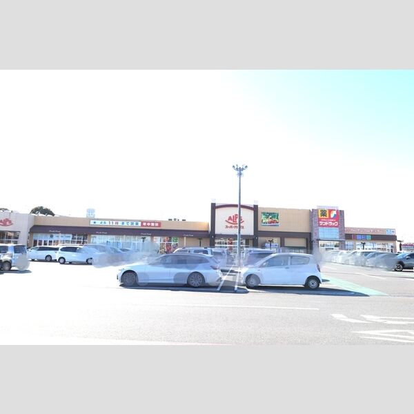 スリーカントリー201号室 スーパーアルプス入間下藤沢店