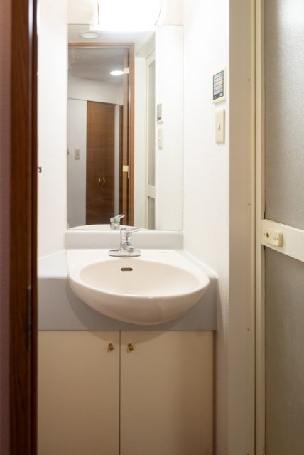 パークウェル市ヶ谷 洗面