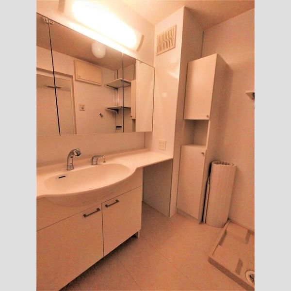 メゾンドール303号室 洗面所