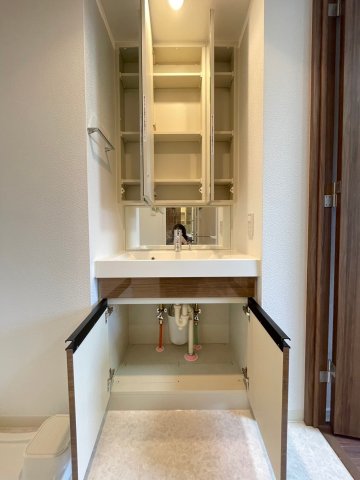 DIPS上北沢 North Villa502号室 収納