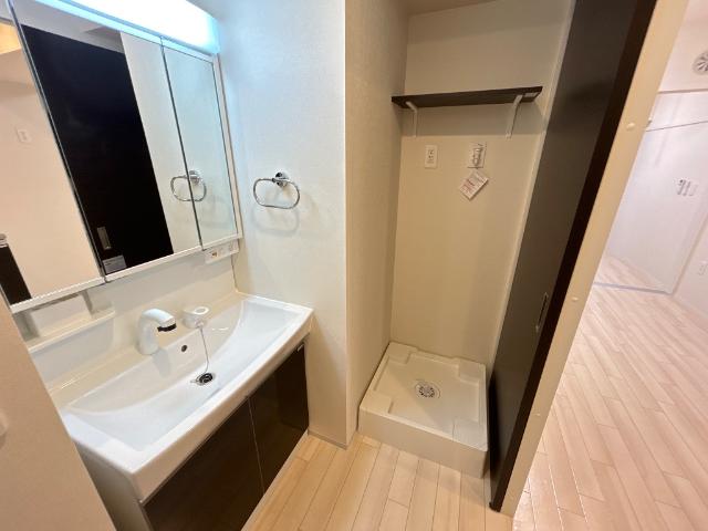 ピーニャ市川101号室 洗髪洗面化粧台