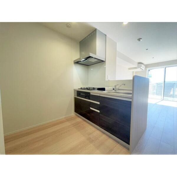 LAPIN湘南303号室 キッチン