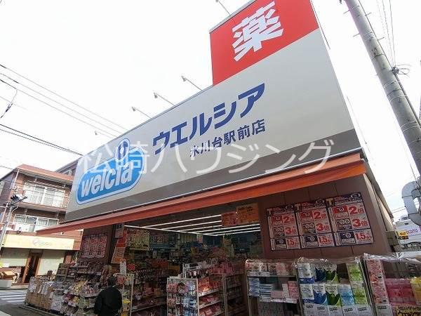 コーポ桜台Ｂ棟 ウエルシア氷川台駅前店
