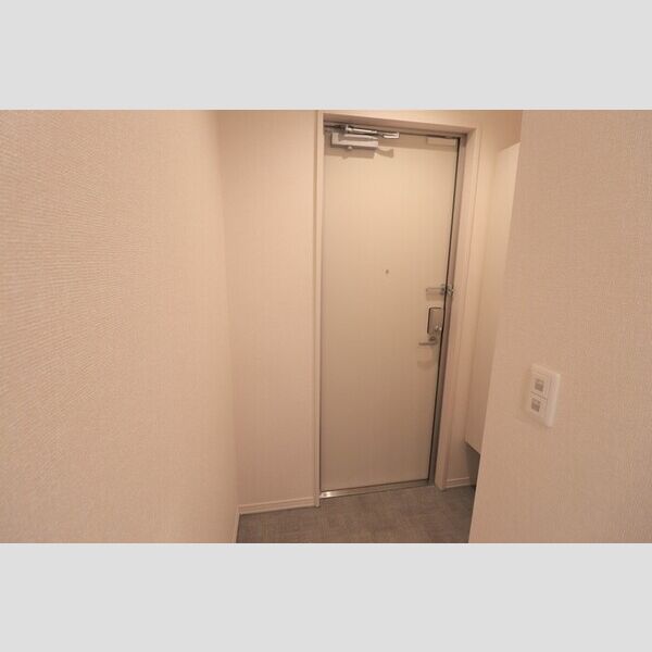 ロイジェントパークス レイクタウン Ⅲ　I201号室 玄関