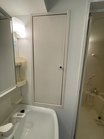 クレアール巣鴨302号室 洗面