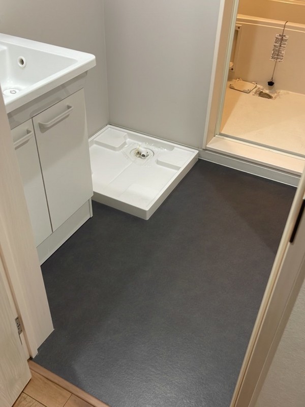 ピースフルパレス江戸川2階 洗面