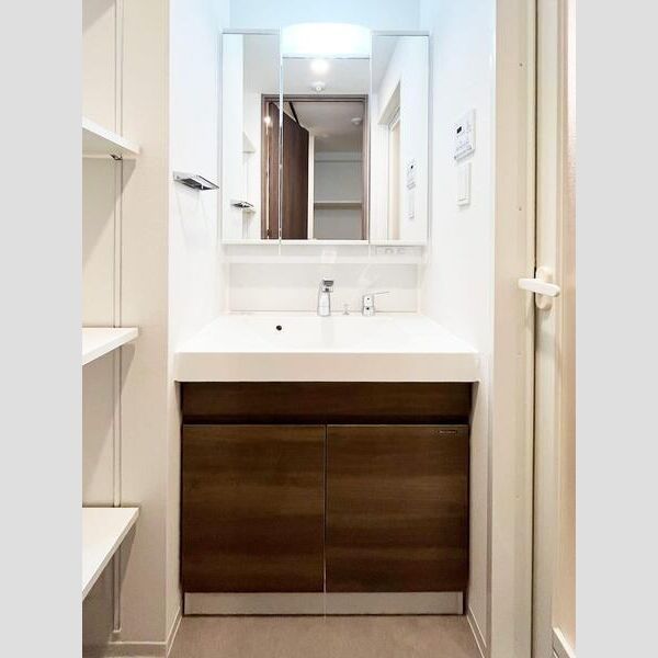 S-RESIDENCE浅草diverse902号室 洗面