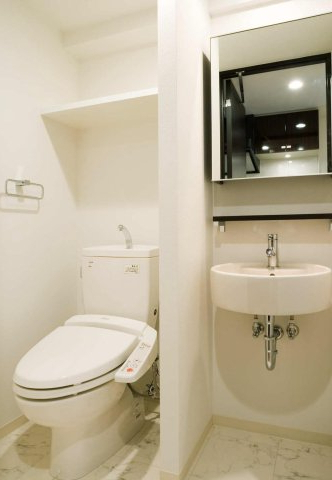 グラントゥルース浮間公園504号室 洗面