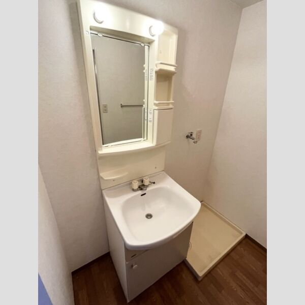 アメニティ203号室 洗面台