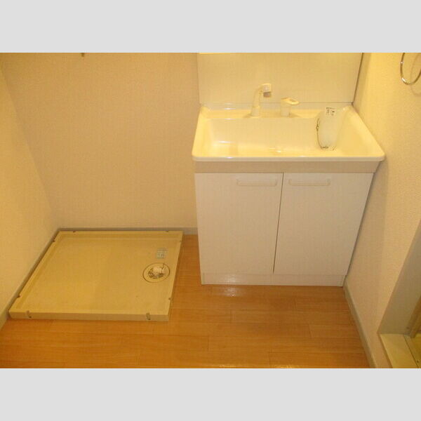 ロイアルパレスシマ206号室 206(洗髪洗面化粧台、室内洗濯機置場)