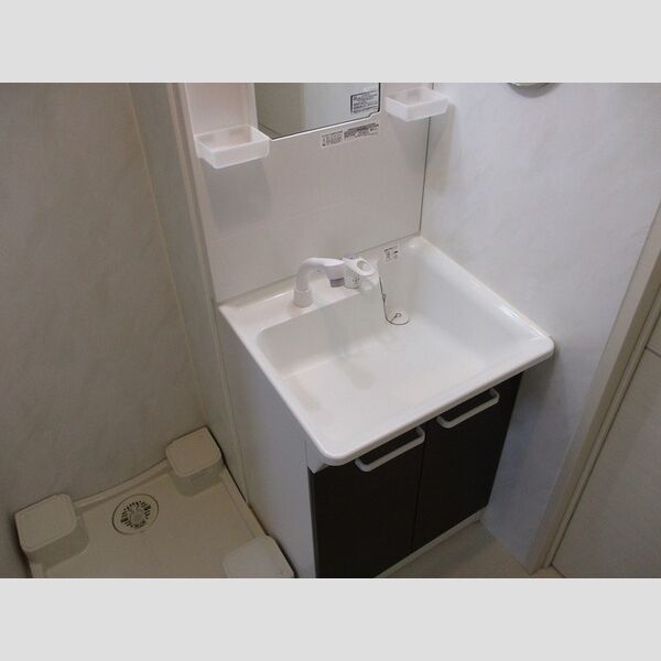 メゾン　あい・あこ　あこ203号室 洗髪洗面化粧台