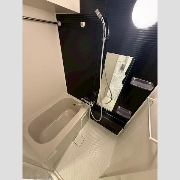 MAXIV ALIVE堀切菖蒲園204号室 洗面