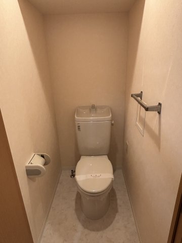 シエルグラン0501号室 トイレ