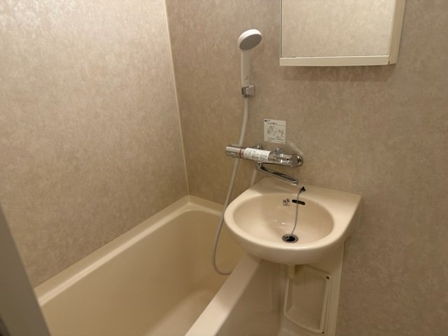 ロアール高円寺 洗面