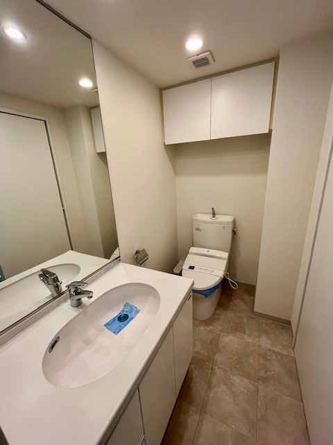 レジディア中落合C棟6階 洗面