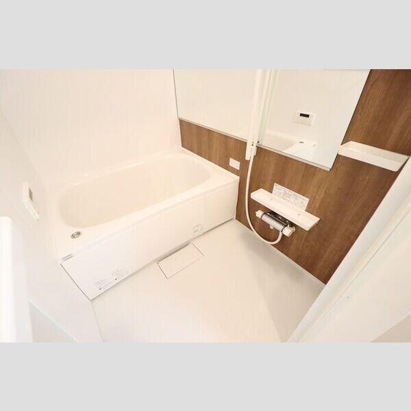 AXIS南流山301号室 浴室