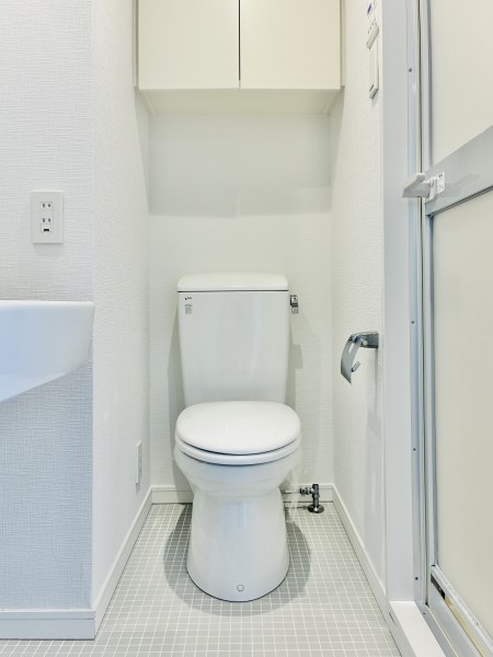 カーサ　ヴェデュータ4階 トイレ