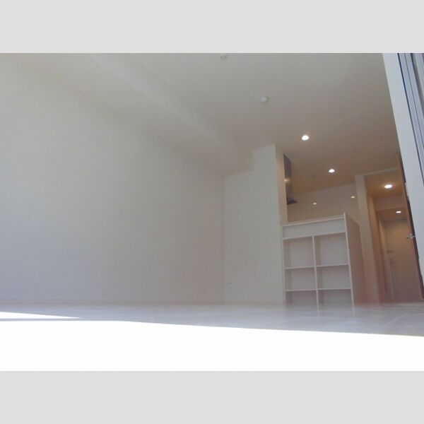 ボヌールメゾン LDK11.29帖