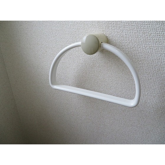 ロワジール0301号室 タオル掛け