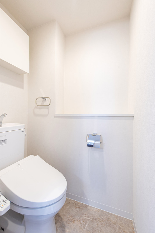 Ｍａｉｓｏｎ　Ｈｏｕｓｅｄｒｅｓｓｉｎｇ トイレ