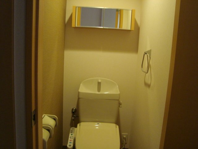 エクセレント南柏105号室 トイレ収納