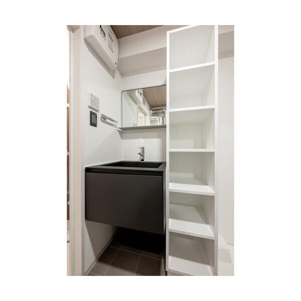 Ecoluxe202号室 洗面