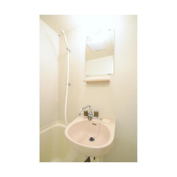 ユートピア南原304号室 洗面