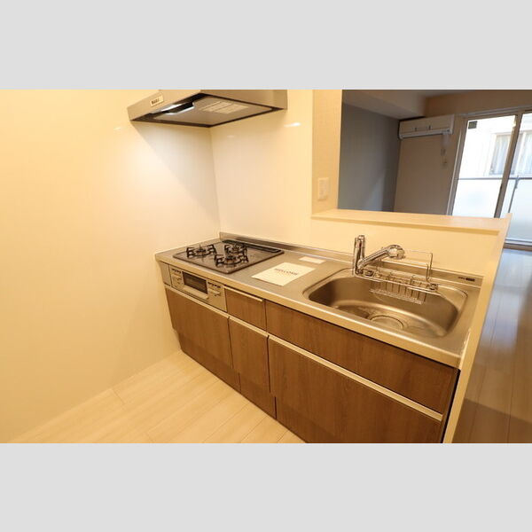 Ruines　MaisonⅡ102号室 システムキッチン