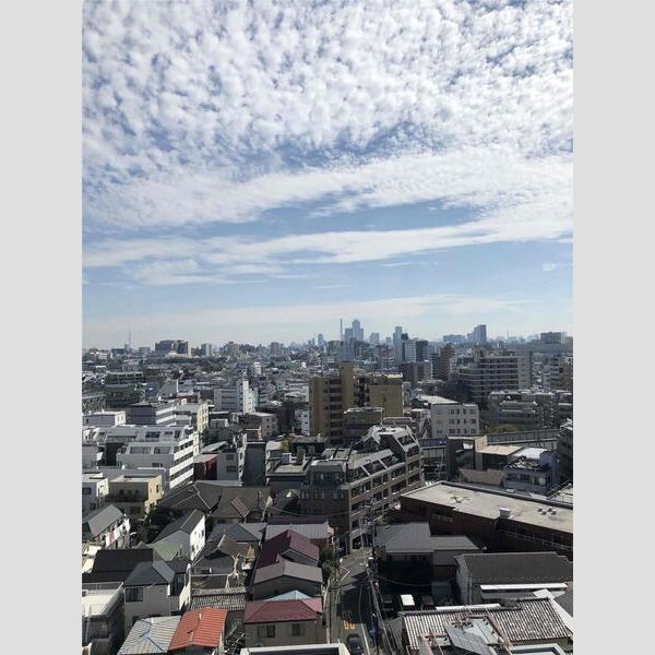 MAXIV常盤台TRE1102号室 部屋その他