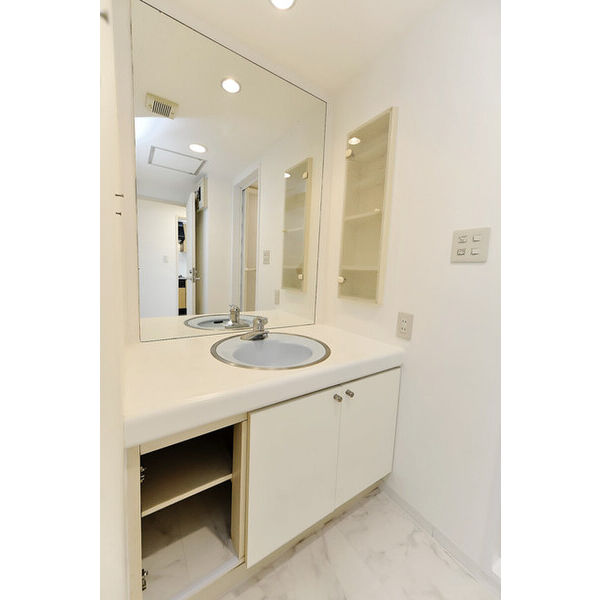 クレールメゾン0402号室 洗面