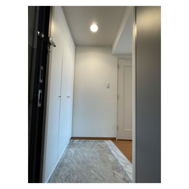 セントラル銀座1104号室 廊下