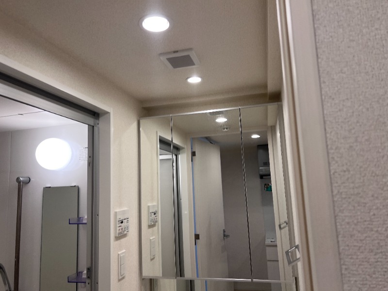 ドムス・スタイル高田馬場9階 洗面