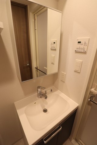 GENOVIA横浜石川町0204号室 洗面