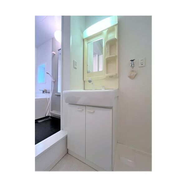 ドマーニ南大塚 洗面