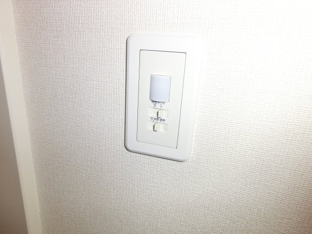 ＩＶＹ　ＣＯＵＲＴ（アイビーコート）103号室 人感センサー照明