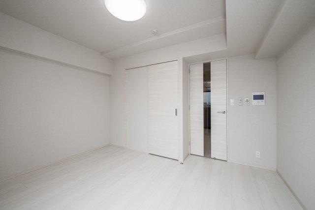 DIPS墨田EAST201号室 リビング