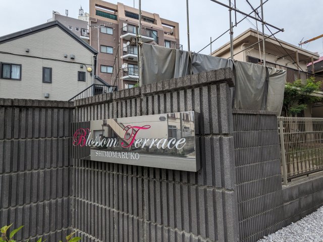 ブロッサムテラス下丸子102号室 その他