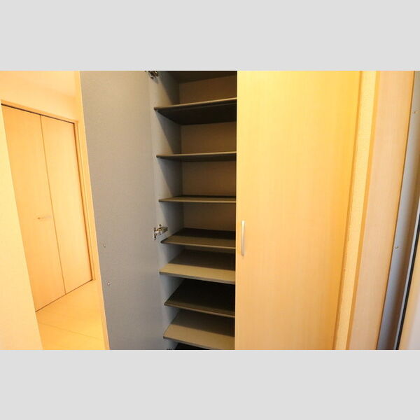 フォレ・プランドール205号室 シューズボックス