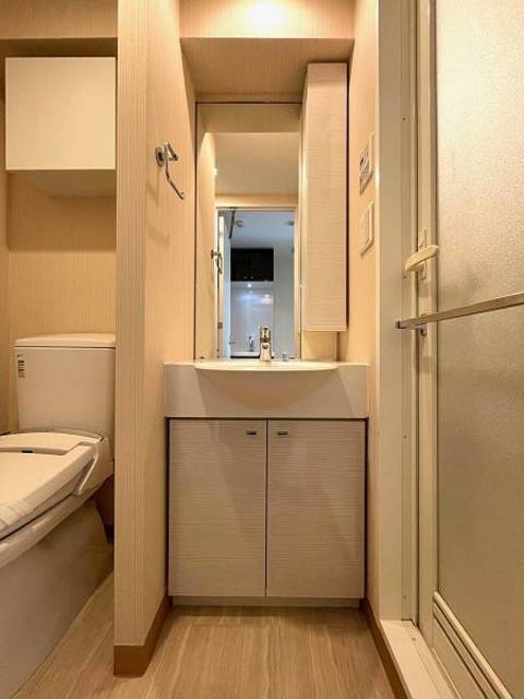 ガーラ・グランディ横濱桜木町 独立洗面台