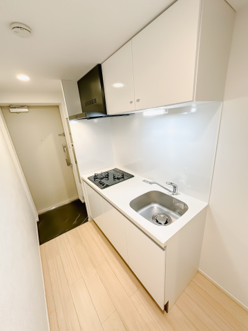 スカイコートリュクス品川大崎202号室 キッチン