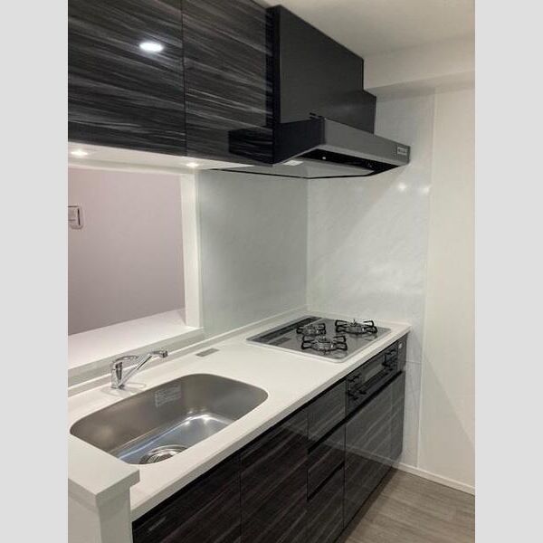 S-RESIDENCE駒込六義園1101号室 玄関