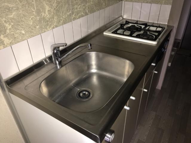 Ｐａｇｅ　Ⅰ 広めのシンク