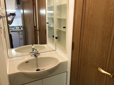 メゾン・ド・ヴィレ日本橋浜町 洗面