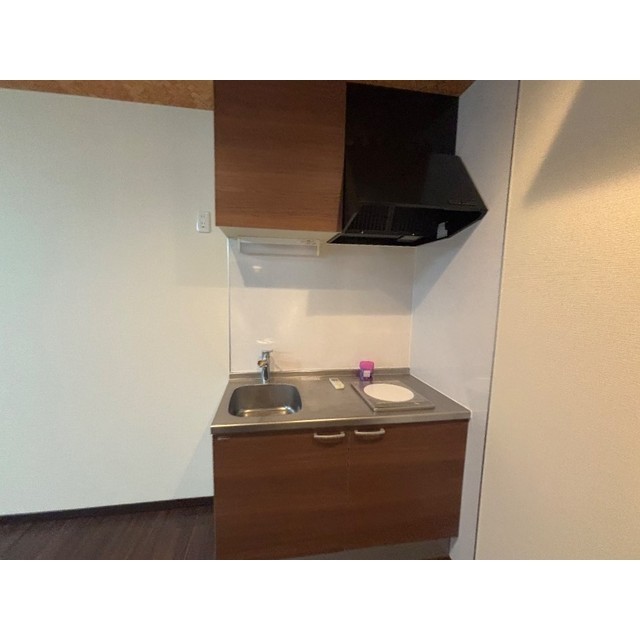 リブレス新河岸Ⅴ　旧新河岸元寮202号室 キッチン