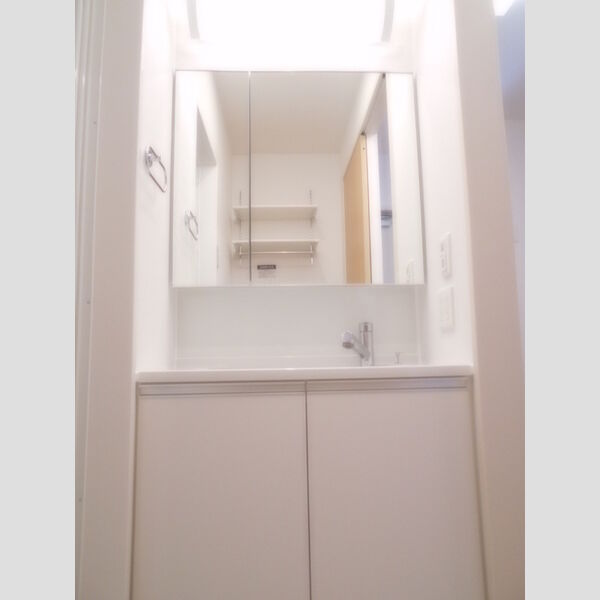 プルミエール柴崎106号室 洗面台