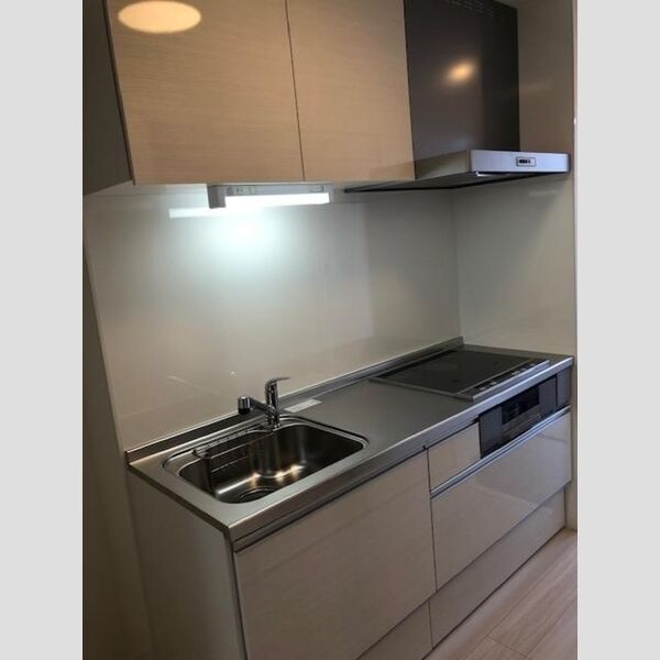 ルミナス ハイム203号室 システムキッチン