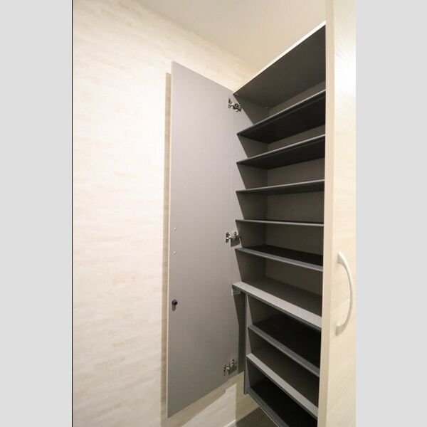 D-PRECIOUS武蔵野305号室 シューズボックス