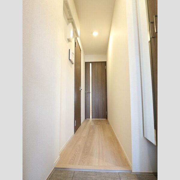 ブリューエン淵野辺 玄関(別角度)