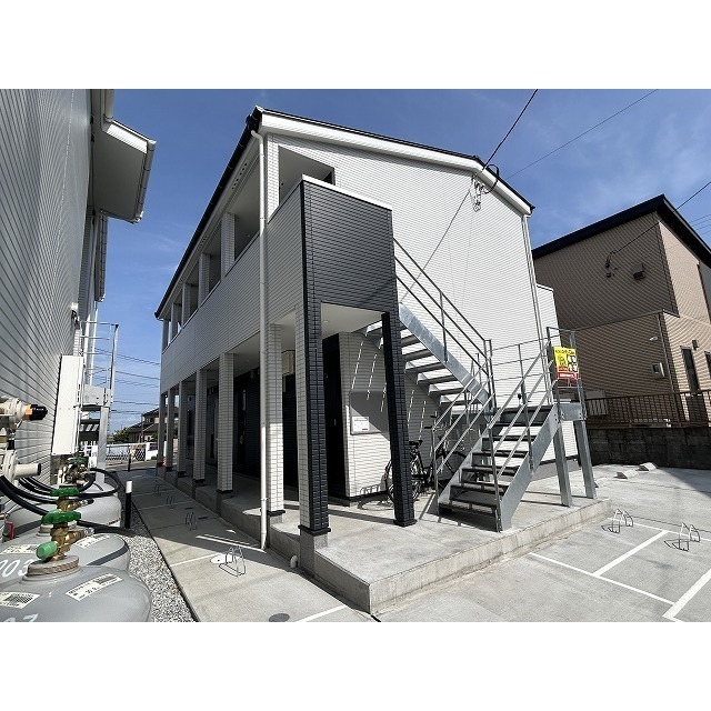 ｌｉｆｅｓｈｉｐ　Ｇ　apricot 外観