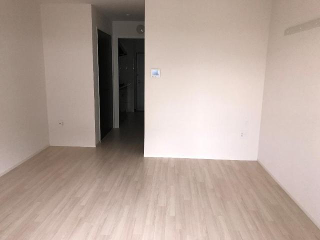 ラック　フィールド 洋室